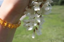 ТОП-10+ самых интересных достопримечательностей в Курске и области