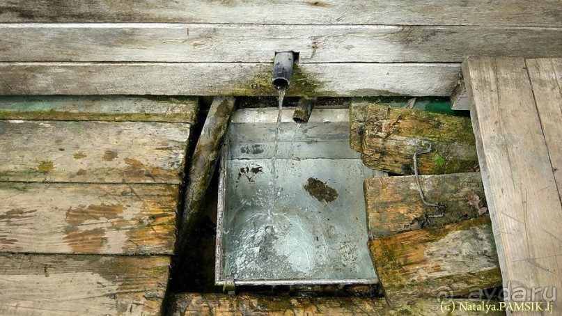 Образ Богородицы, найденный в корнях дерева. Курская Коренная пустынь