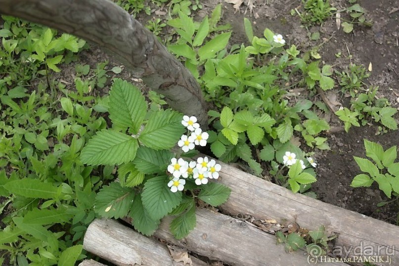 Что посмотреть в Курске: музей-усадьба Афанасия Фета