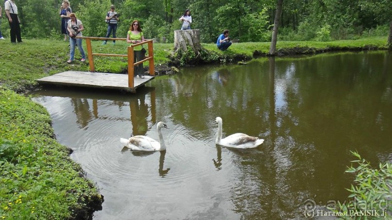 Что посмотреть в Курске: музей-усадьба Афанасия Фета
