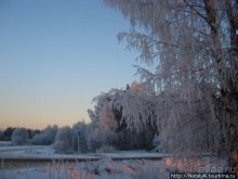 Дом-музей В.Серова в Домотканово. Тверская область