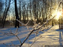 Дом-музей В.Серова в Домотканово. Тверская область