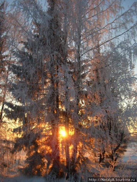 Дом-музей В.Серова в Домотканово. Тверская область