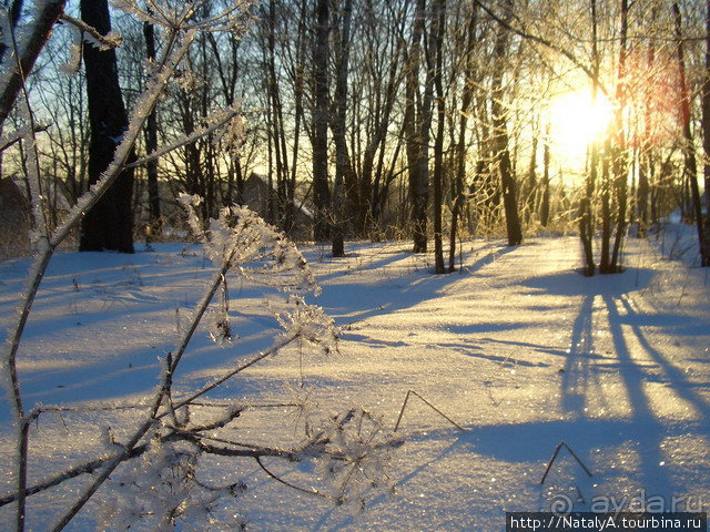 Дом-музей В.Серова в Домотканово. Тверская область