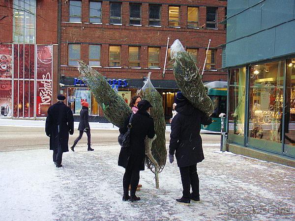 Как празднуется Рождество в Финляндии. Сейлы. Зимняя война.