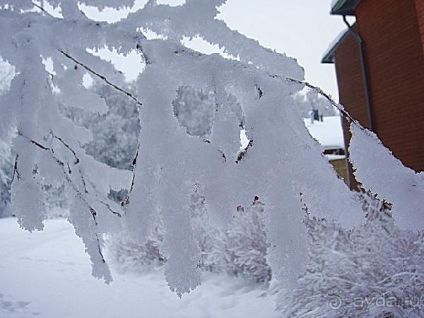 Как празднуется Рождество в Финляндии. Сейлы. Зимняя война.
