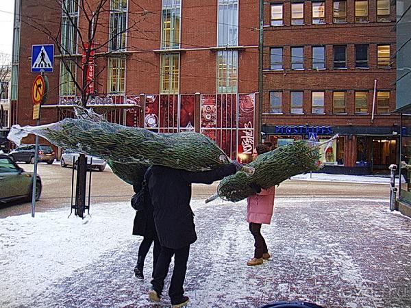 Как празднуется Рождество в Финляндии. Сейлы. Зимняя война.