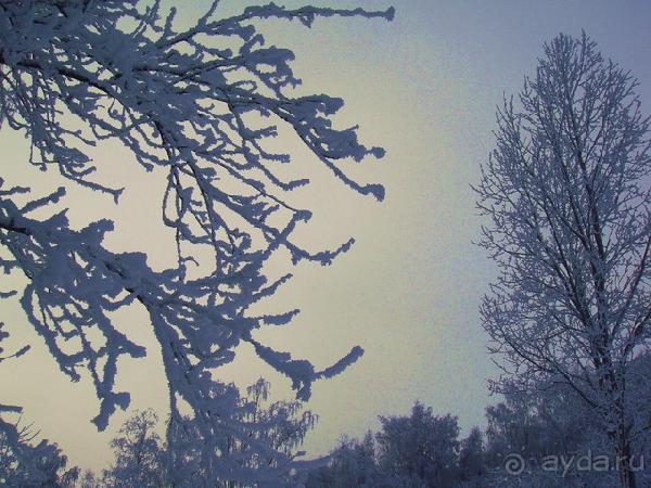 Как празднуется Рождество в Финляндии. Сейлы. Зимняя война.