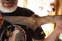 Куршская Коса. Маршруты /ч.1-я