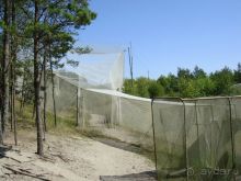 Куршская Коса. Маршруты /ч.1-я