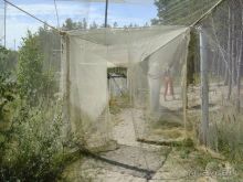 Куршская Коса. Маршруты /ч.1-я