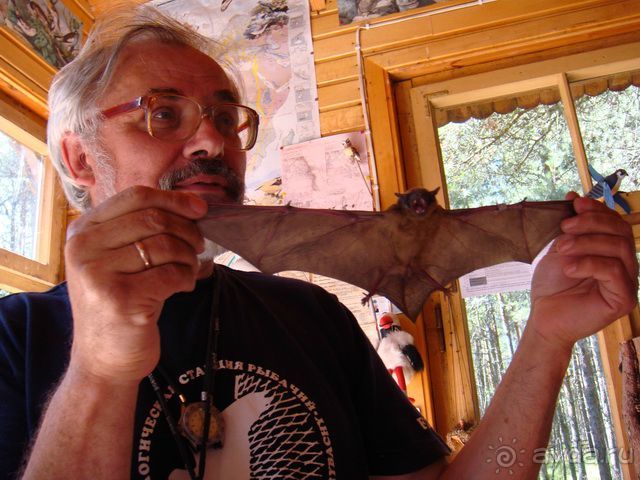 Куршская Коса. Маршруты /ч.1-я