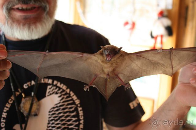 Куршская Коса. Маршруты /ч.1-я