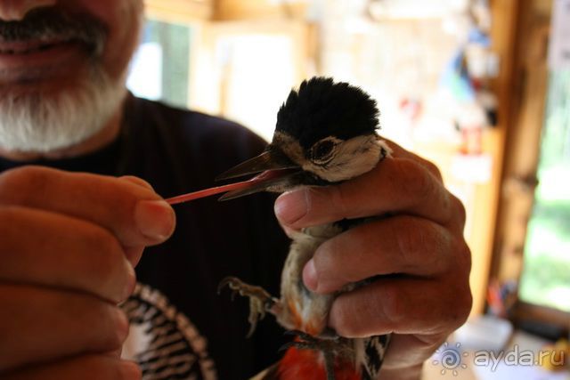 Куршская Коса. Маршруты /ч.1-я