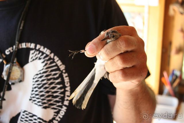 Куршская Коса. Маршруты /ч.1-я