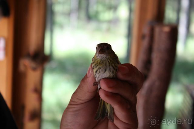 Куршская Коса. Маршруты /ч.1-я
