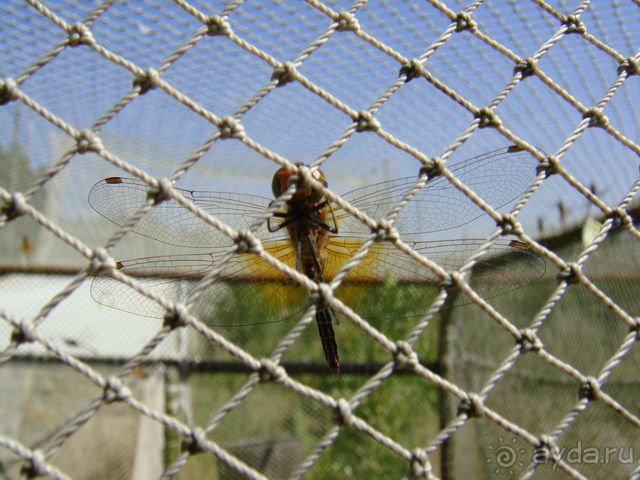 Куршская Коса. Маршруты /ч.1-я