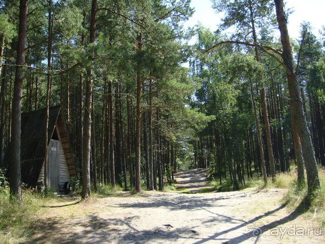 Куршская Коса. Маршруты /ч.1-я