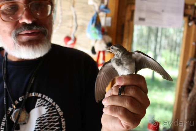 Куршская Коса. Маршруты /ч.1-я