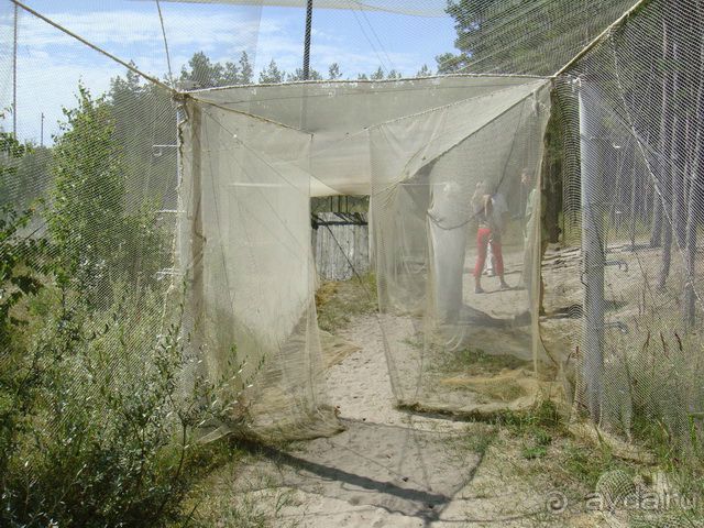 Куршская Коса. Маршруты /ч.1-я