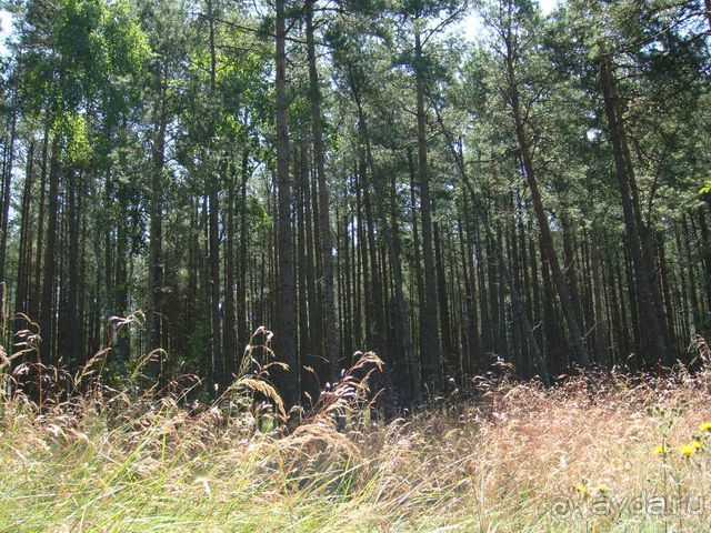 Куршская Коса. Маршруты /ч.1-я