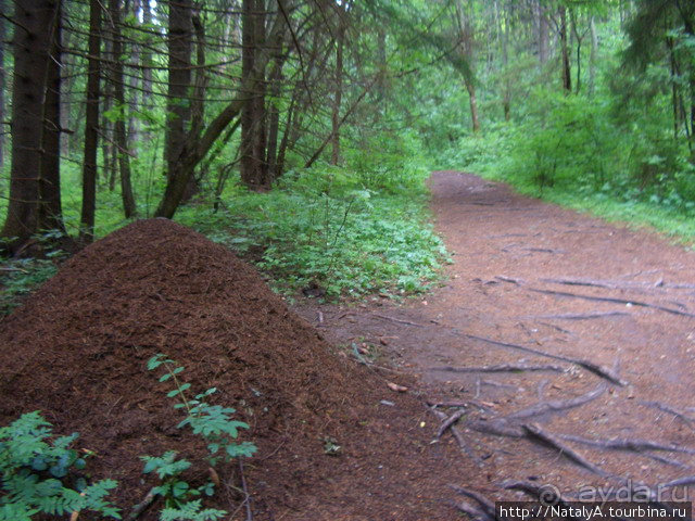 Горицко-Успенский монастырь. Гора Маура