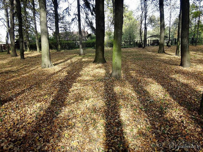 Подмосковный Нотр-Дам - Церковь Знамения в Дубровицах /Подвесной мост в Лемешево