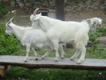 Подвалы инквизиции/ и город из прошлого.