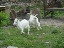 Подвалы инквизиции/ и город из прошлого.