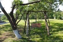 Что посмотреть в Курске: Земля и Небо. Этнодеревня и смотровая площадка на крыше ТЦ