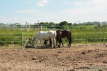 Что посмотреть в Курске: Земля и Небо. Этнодеревня и смотровая площадка на крыше ТЦ