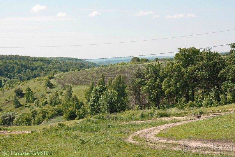 Что посмотреть в Курске: Земля и Небо. Этнодеревня и смотровая площадка на крыше ТЦ