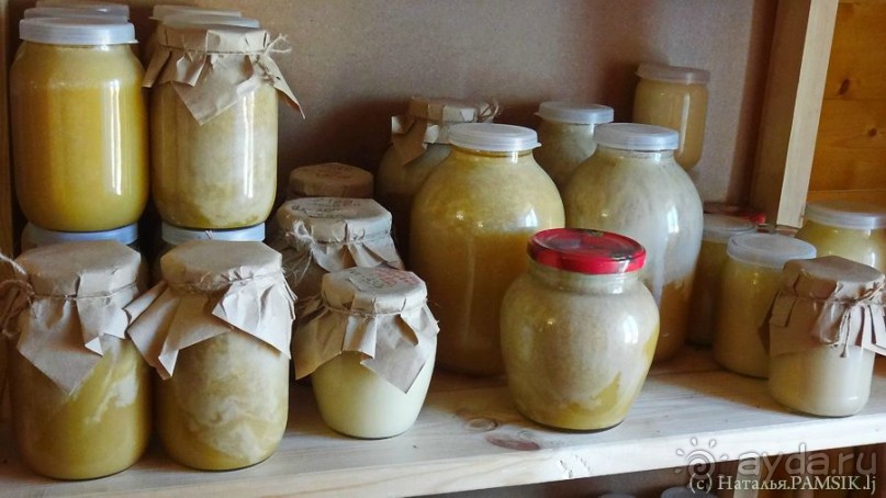 Что посмотреть в Курске: Земля и Небо. Этнодеревня и смотровая площадка на крыше ТЦ