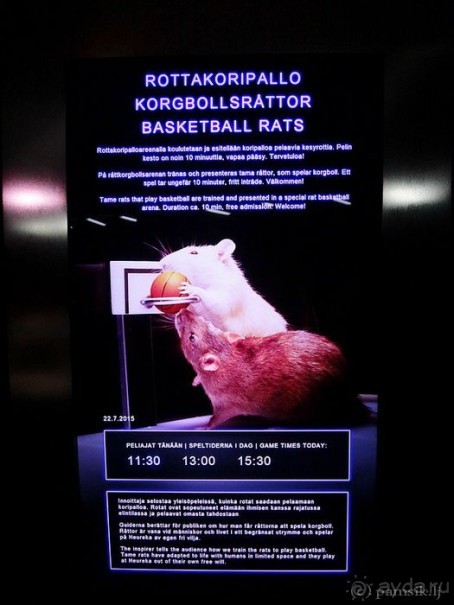 Эврика, - воскликнул Архимед, - Heureka!