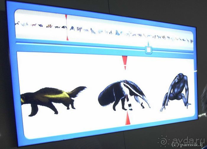 Эврика, - воскликнул Архимед, - Heureka!