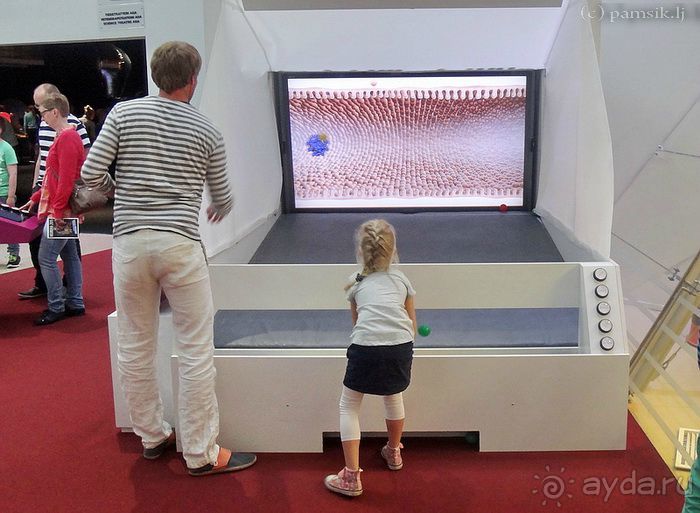 Эврика, - воскликнул Архимед, - Heureka!