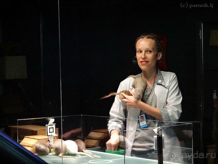 Эврика, - воскликнул Архимед, - Heureka!