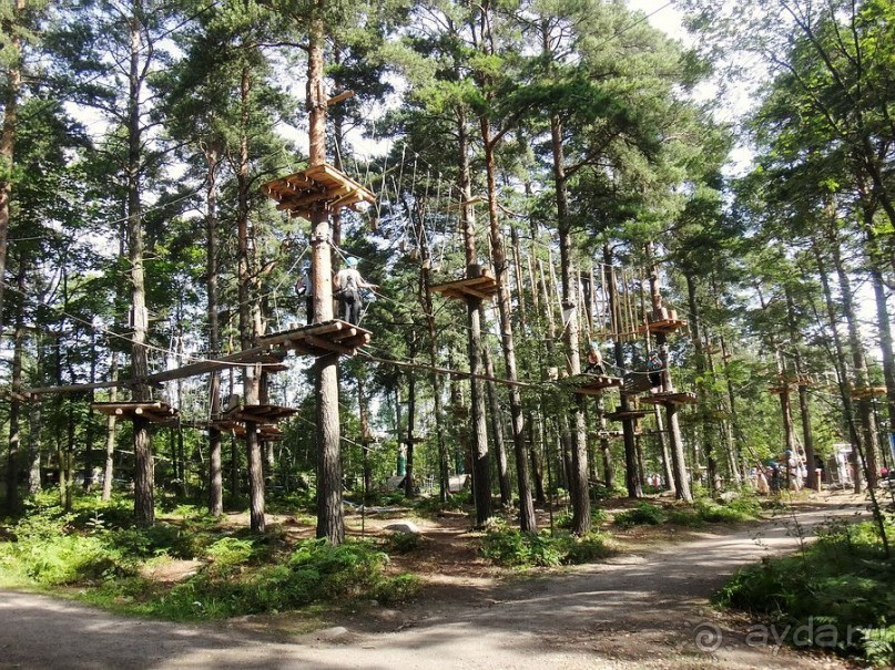 Верёвочный ПАРК ПРИКЛЮЧЕНИЙ KORKEE (Adventure Park Korkee) в Хельсинки