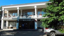 Курск. Белая акация рядом с гостиницей "Белая акация"