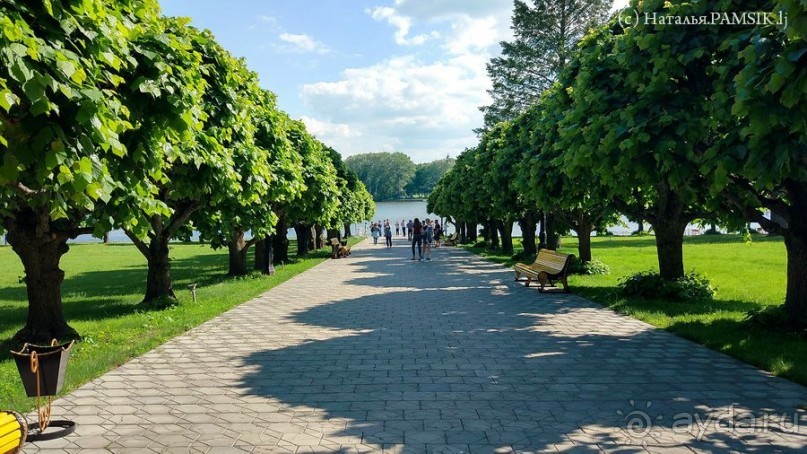 фото Владимира