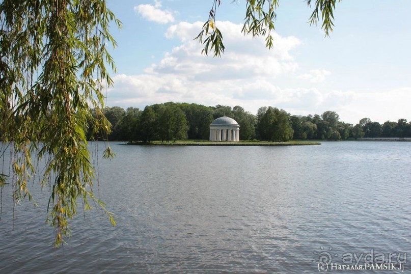 фото Владимира