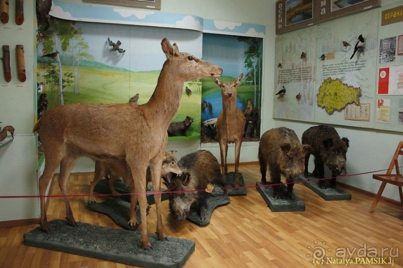 Рыльск. Чудеса Рыльского монастыря и "Юнона и Авось" в Краеведческом музее