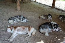 Дружба народов и миру Этномир! (Калужская область) /ч.3