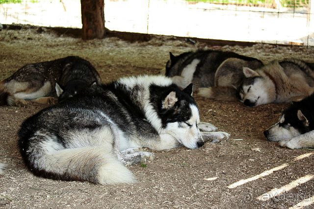 Дружба народов и миру Этномир! (Калужская область) /ч.3