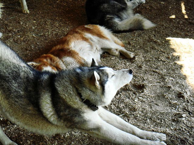 Дружба народов и миру Этномир! (Калужская область) /ч.3