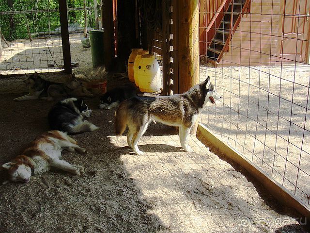 Дружба народов и миру Этномир! (Калужская область) /ч.3