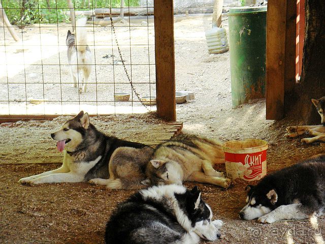 Дружба народов и миру Этномир! (Калужская область) /ч.3