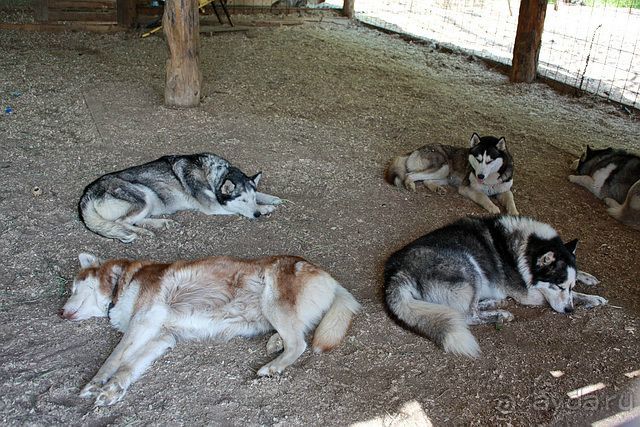 Дружба народов и миру Этномир! (Калужская область) /ч.3