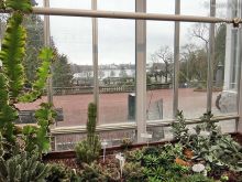 Юг на Севере. Ботанические сады Хельсинки