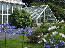 Юг на Севере. Ботанические сады Хельсинки